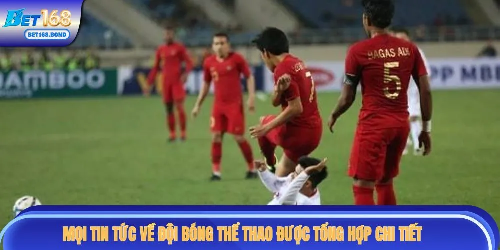 Mọi tin tức về đội bóng thể thao được tổng hợp chi tiết